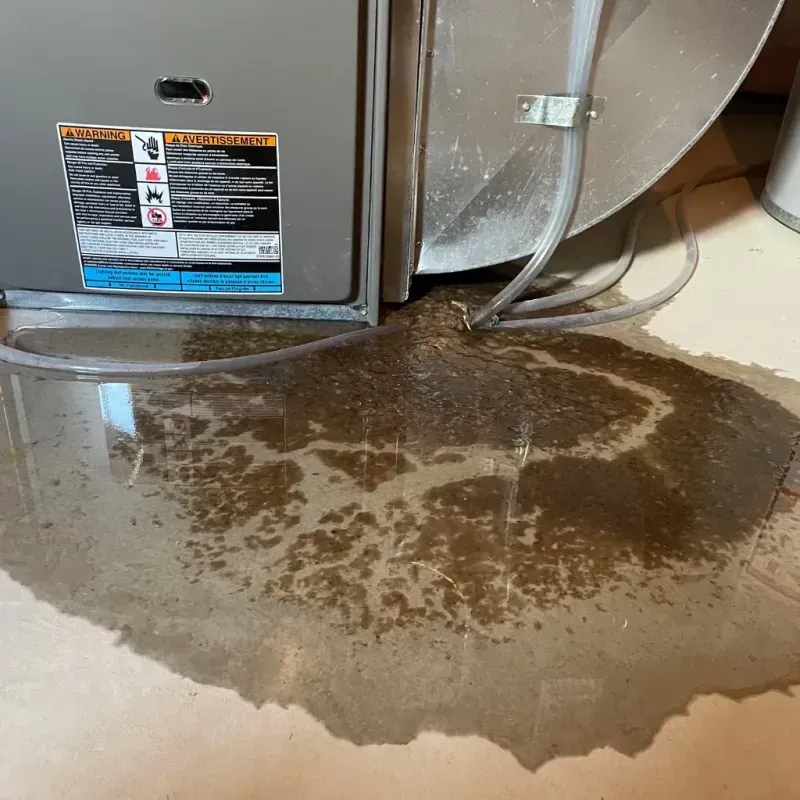 Appliance Leak Cleanup in Ashburn, IL